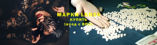 шишки Магас