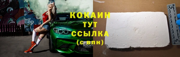 шишки Магас