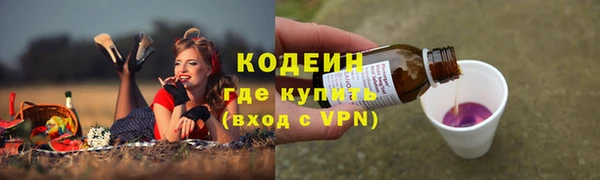 шишки Магас
