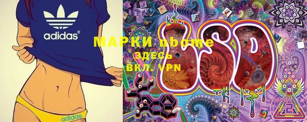 шишки Магас