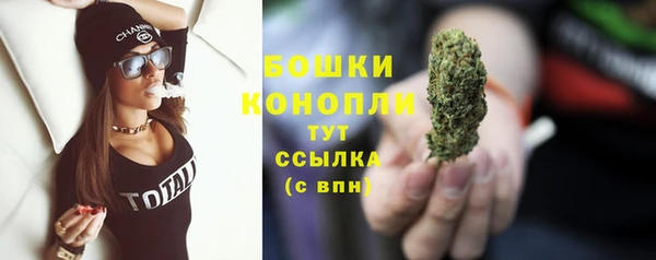 молекула духа Майский