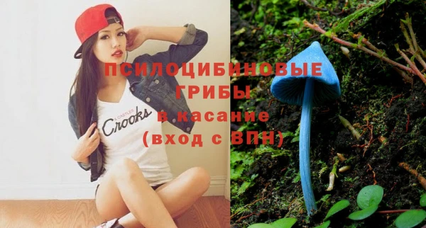 тгк Магадан
