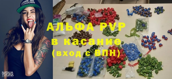 шишки Магас