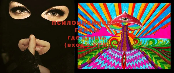 молекула духа Майский