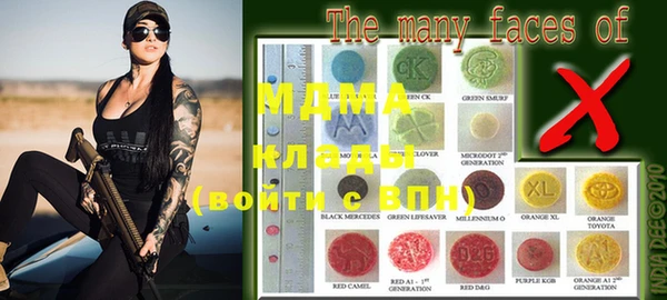 шишки Магас