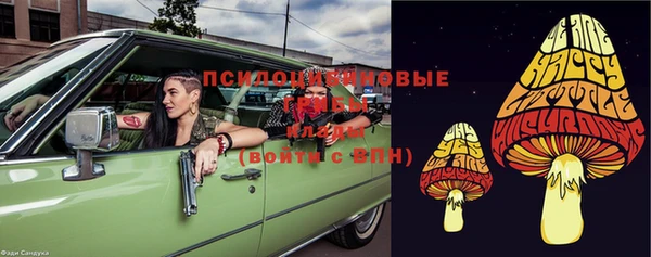 молекула духа Майский