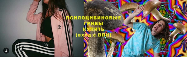 шишки Магас