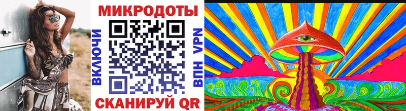 Купить  Чекалин  Галлюциногенные грибы Cubensis 